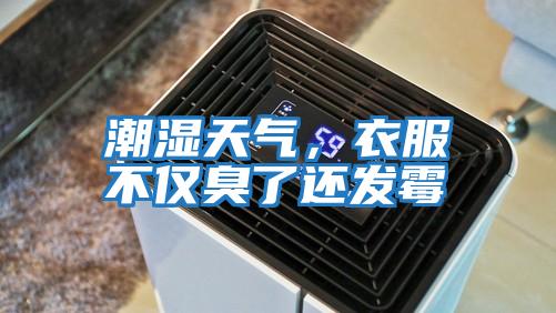 潮濕天氣，衣服不僅臭了還發霉