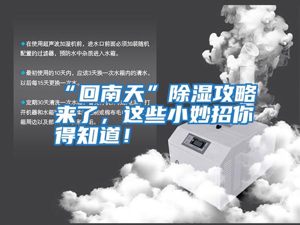 “回南天”除濕攻略來了，這些小妙招你得知道！