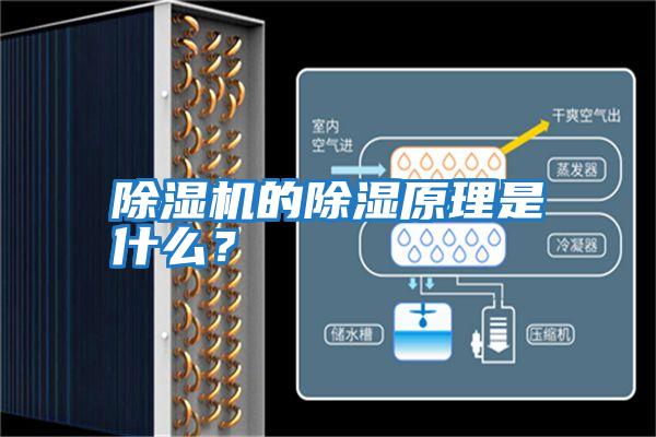 除濕機(jī)的除濕原理是什么？
