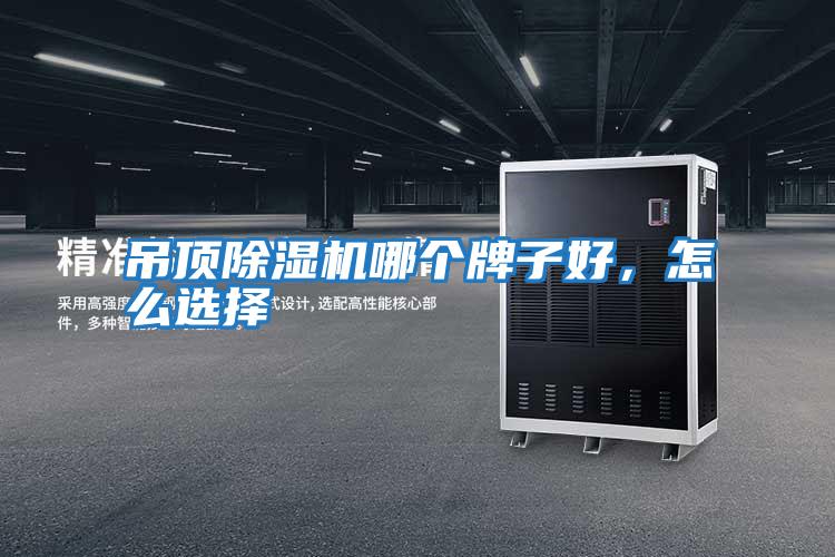 吊頂除濕機(jī)哪個(gè)牌子好,怎么選擇