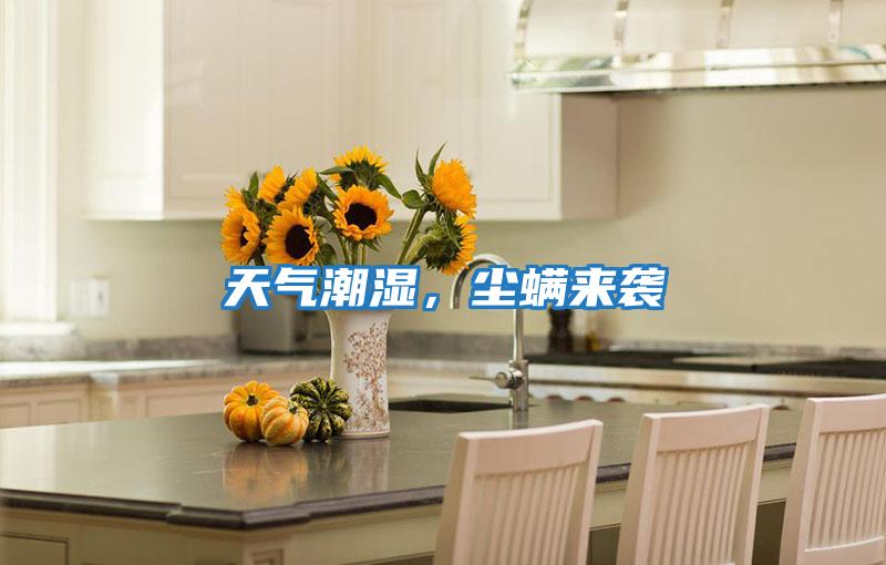 天氣潮濕，塵螨來襲