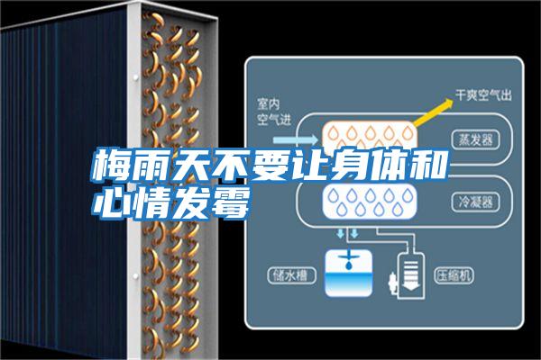 梅雨天不要讓身體和心情發霉