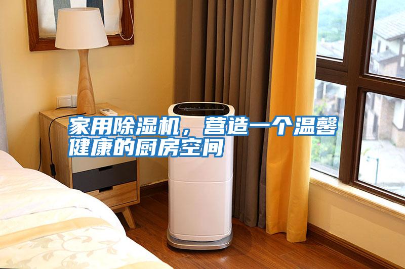 家用除濕機，營造一個溫馨健康的廚房空間