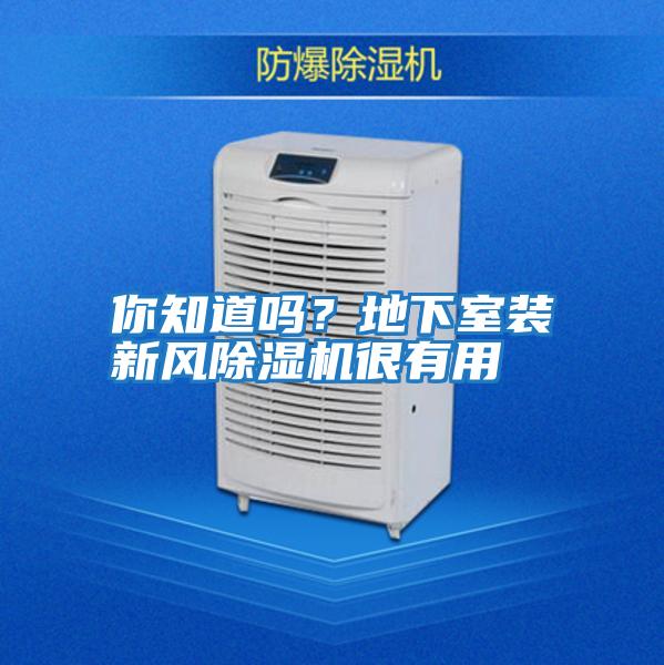 你知道嗎?地下室裝新風(fēng)除濕機很有用