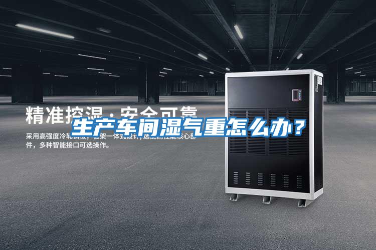 生產(chǎn)車間濕氣重怎么辦?