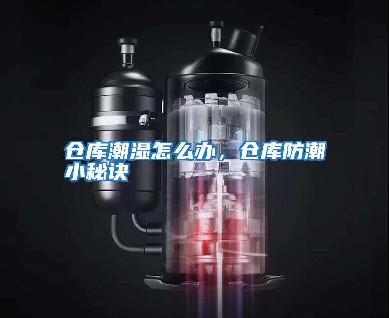 倉(cāng)庫(kù)潮濕怎么辦，倉(cāng)庫(kù)防潮小秘訣