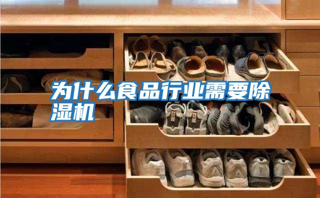 為什么食品行業需要除濕機