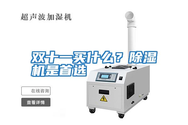 雙十一買什么?除濕機是首選
