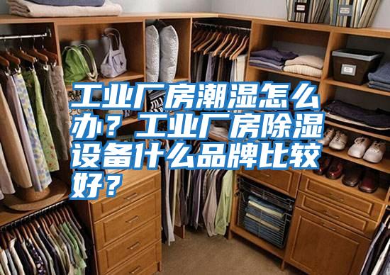 工業廠房潮濕怎么辦？工業廠房除濕設備什么品牌比較好？