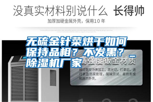 無硫金針菜烘干如何保持品相？不發(fā)黑？_除濕機廠家