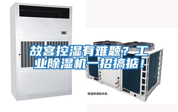 故宮控濕有難題？工業除濕機一招搞掂！