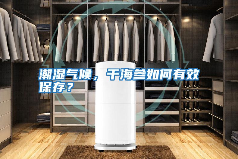 潮濕氣候，干海參如何有效保存？