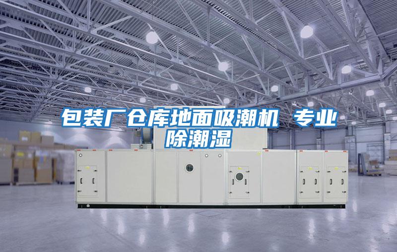 包裝廠倉(cāng)庫(kù)地面吸潮機(jī) 專業(yè)除潮濕