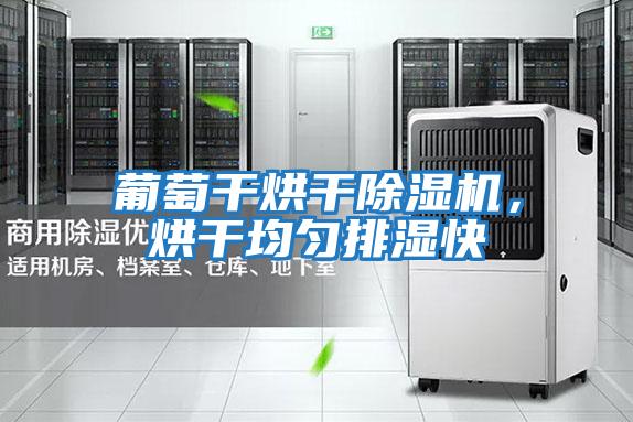 葡萄干烘干除濕機,烘干均勻排濕快