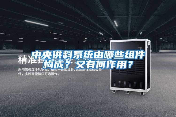 中央供料系統由哪些組件構成？又有何作用？