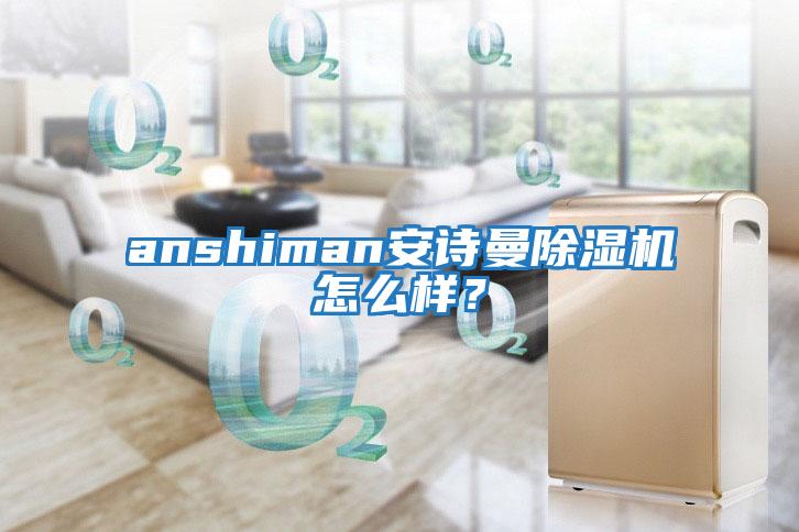 anshiman安詩曼除濕機怎么樣？