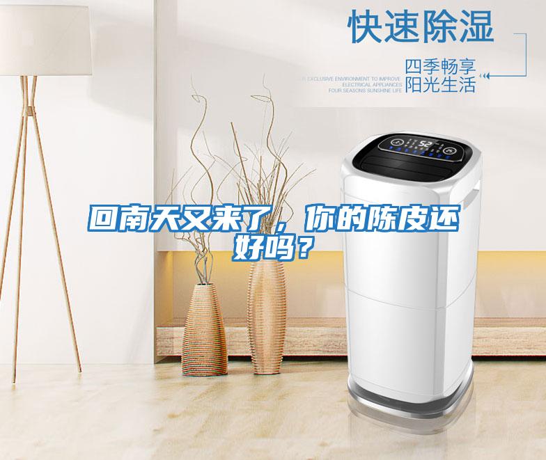 回南天又來了，你的陳皮還好嗎？