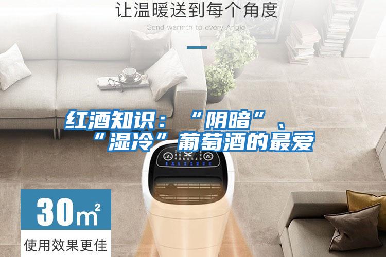 紅酒知識(shí)：“陰暗”、“濕冷”葡萄酒的最愛