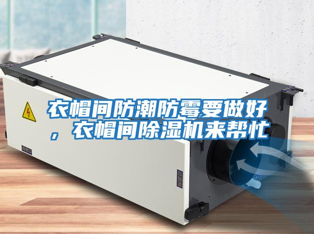 衣帽間防潮防霉要做好，衣帽間除濕機來幫忙