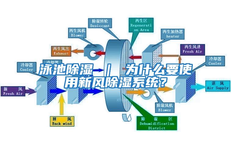泳池除濕 ｜ 為什么要使用新風除濕系統？