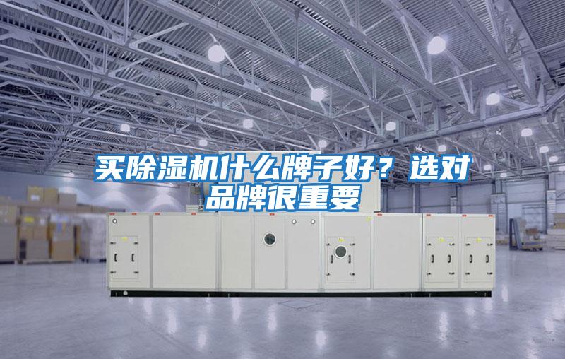 買除濕機什么牌子好？選對品牌很重要