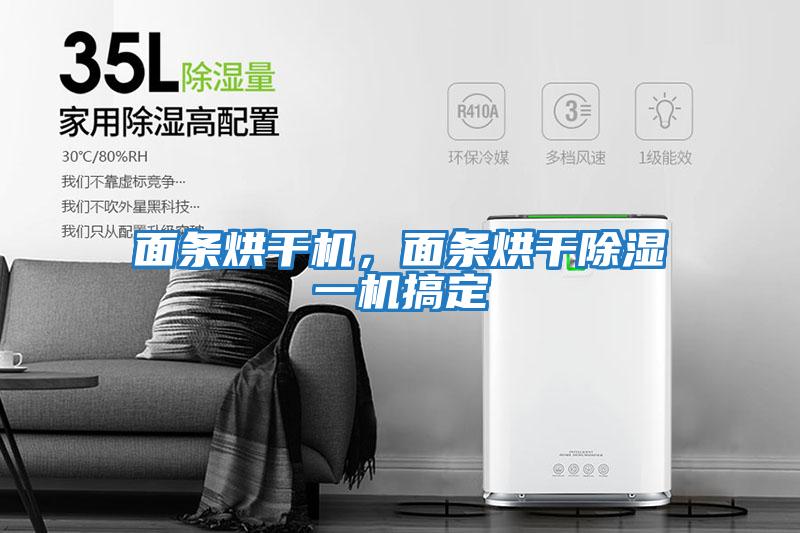 面條烘干機，面條烘干除濕一機搞定