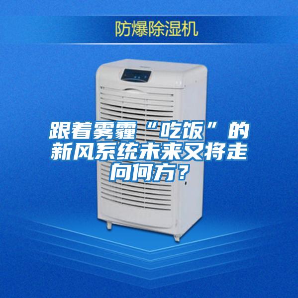 跟著霧霾“吃飯”的新風系統未來又將走向何方？