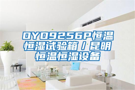 OYO9256P恒溫恒濕試驗(yàn)箱/昆明恒溫恒濕設(shè)備