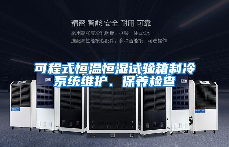 可程式恒溫恒濕試驗(yàn)箱制冷系統(tǒng)維護(hù)、保養(yǎng)檢查
