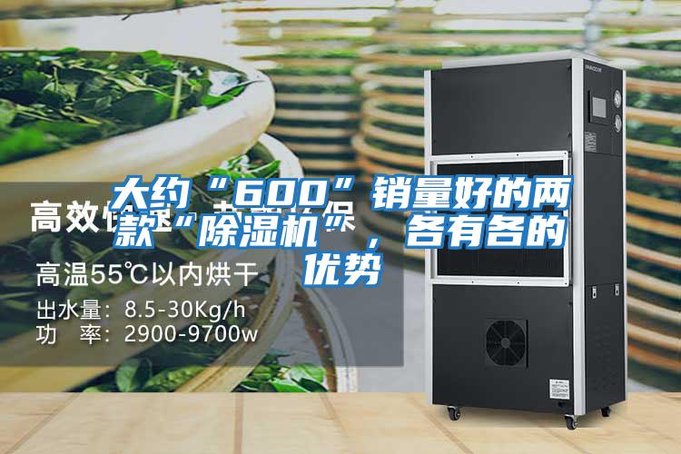 大約“600”銷(xiāo)量好的兩款“除濕機(jī)”，各有各的優(yōu)勢(shì)