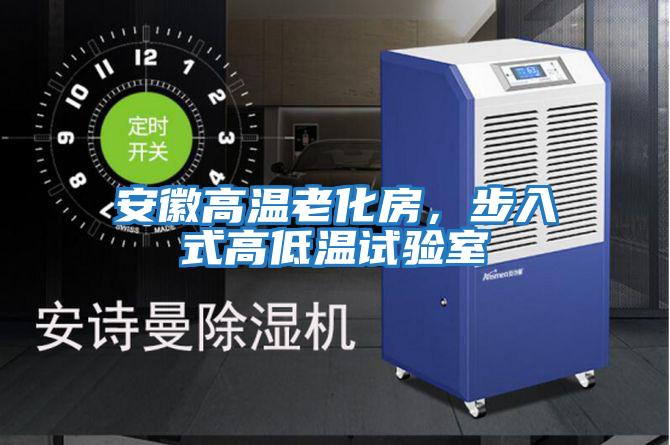 安徽高溫老化房,步入式高低溫試驗室