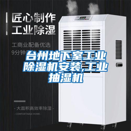 臺州地下室工業除濕機安裝,工業抽濕機