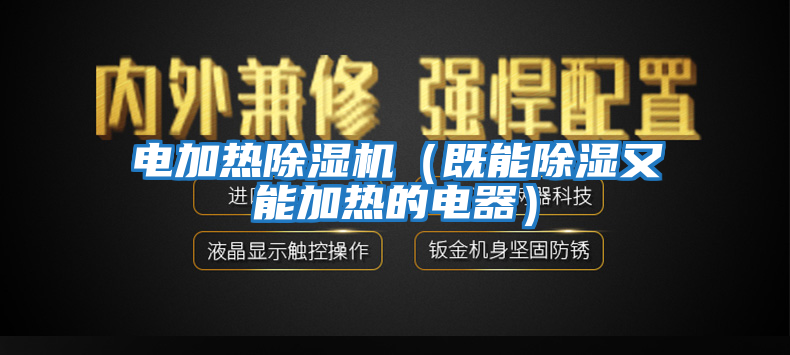 電加熱除濕機(jī)(既能除濕又能加熱的電器)