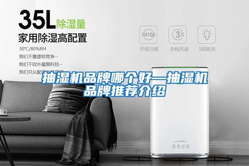 抽濕機(jī)品牌哪個好—抽濕機(jī)品牌推薦介紹