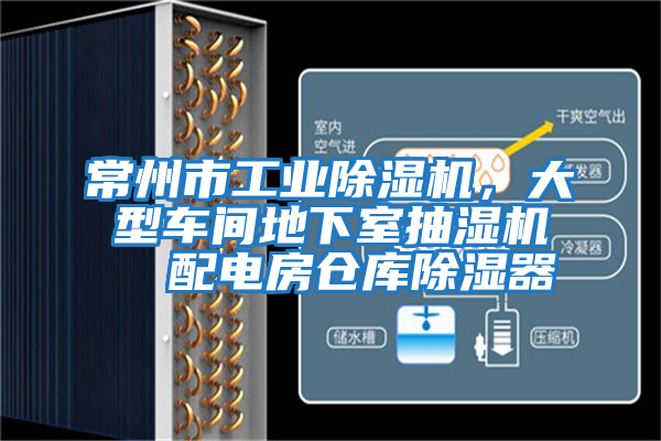 常州市工業除濕機,大型車間地下室抽濕機  配電房倉庫除濕器