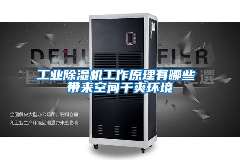 工業(yè)除濕機(jī)工作原理有哪些 帶來(lái)空間干爽環(huán)境