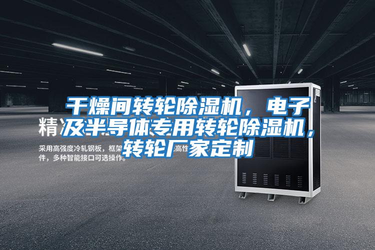 干燥間轉輪除濕機，電子及半導體專用轉輪除濕機，轉輪廠家定制