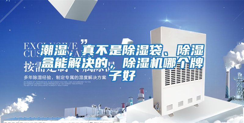 潮濕,真不是除濕袋、除濕盒能解決的,除濕機(jī)哪個(gè)牌子好