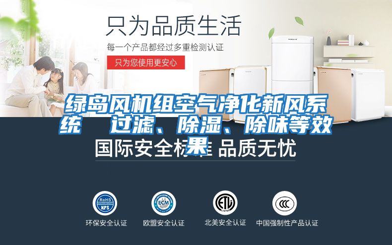 綠島風機組空氣凈化新風系統  過濾、除濕、除味等效果