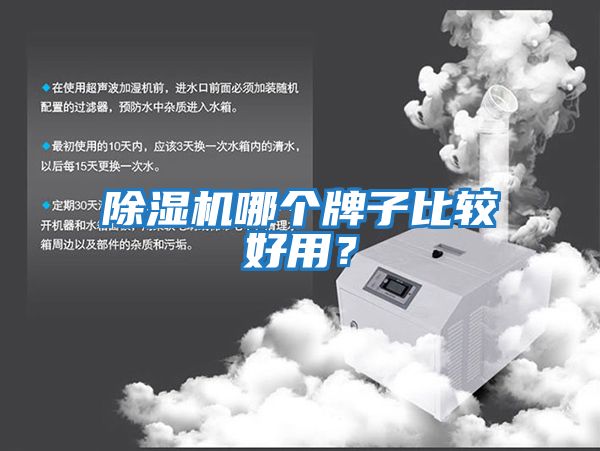除濕機哪個牌子比較好用?