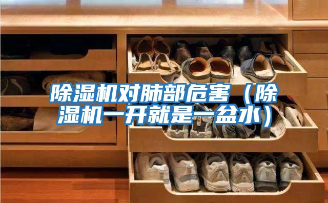 除濕機對肺部危害(除濕機一開就是一盆水)