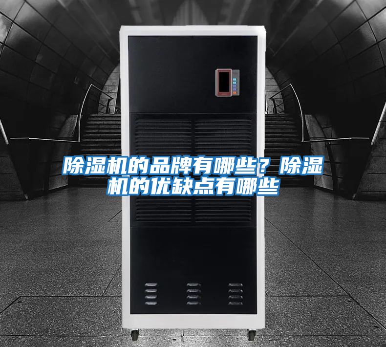 除濕機的品牌有哪些?除濕機的優(yōu)缺點有哪些