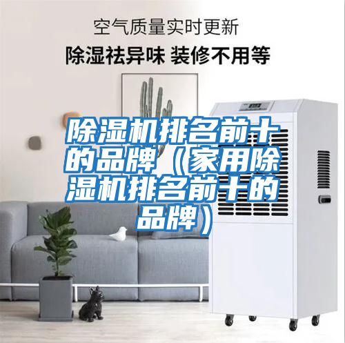 除濕機排名前十的品牌(家用除濕機排名前十的品牌)