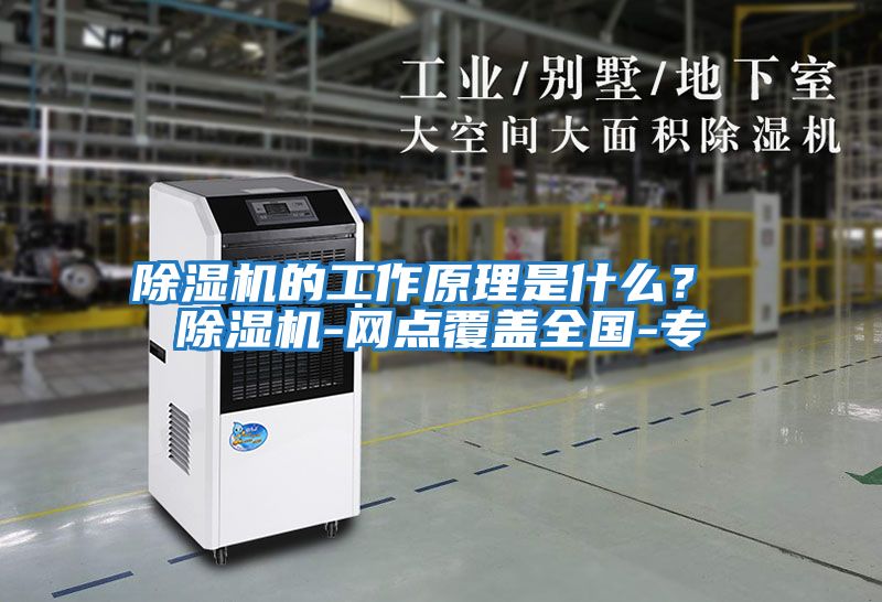 除濕機的工作原理是什么? 除濕機-網(wǎng)點覆蓋全國-專
