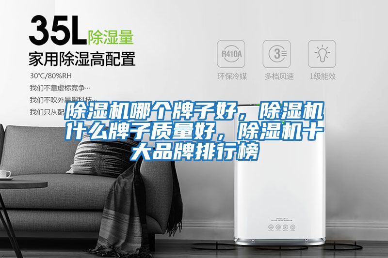 除濕機哪個牌子好，除濕機什么牌子質量好，除濕機十大品牌排行榜