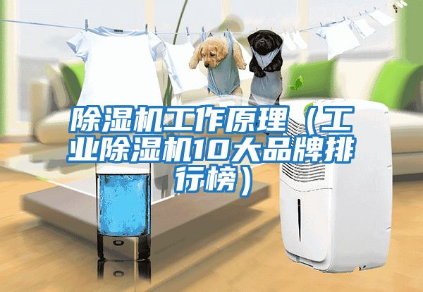 除濕機(jī)工作原理(工業(yè)除濕機(jī)10大品牌排行榜)