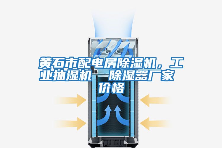 黃石市配電房除濕機，工業(yè)抽濕機  除濕器廠家 價格