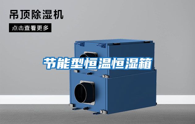 節能型恒溫恒濕箱