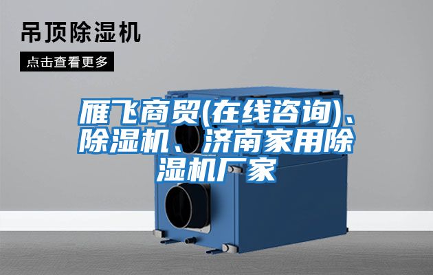 雁飛商貿(在線咨詢)、除濕機、濟南家用除濕機廠家