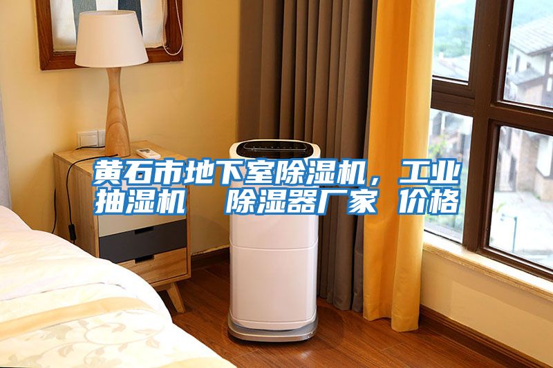 黃石市地下室除濕機，工業(yè)抽濕機  除濕器廠家 價格
